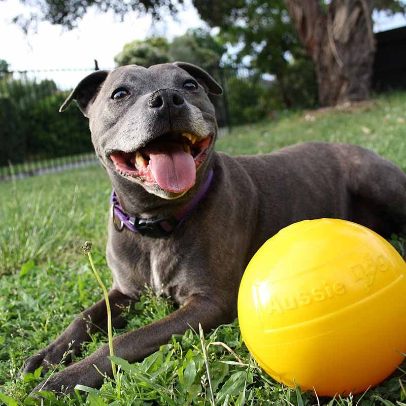 Snuffle Ball: Engaging Interactive Toy for Endless Pet Fun!