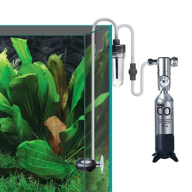 Complete co2 system for aquarium best sale