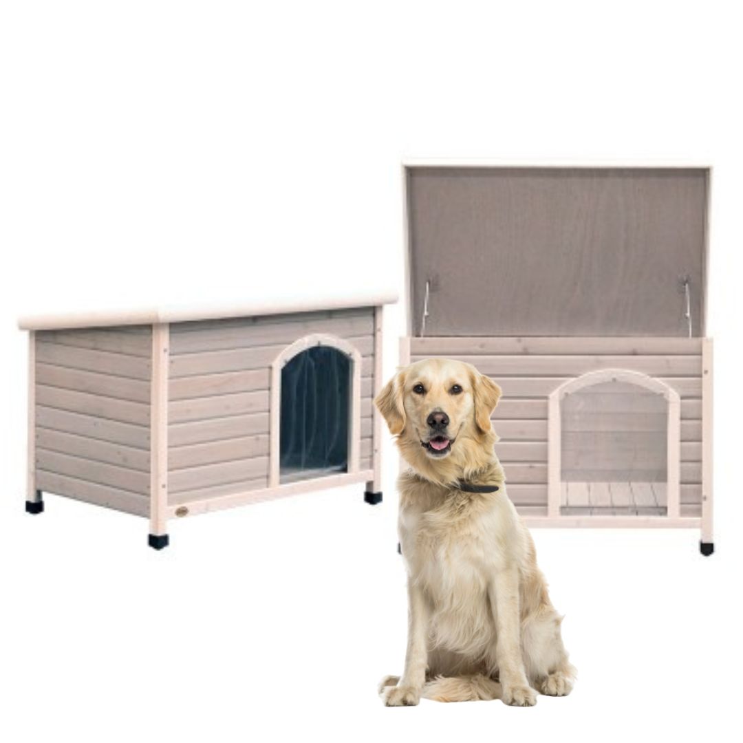 Introducing dog to outdoor kennel hotsell