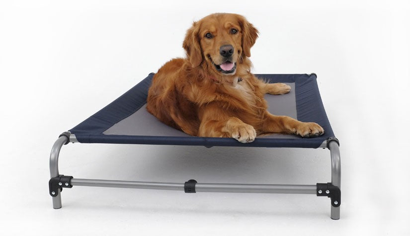 Purina dog bed large best sale