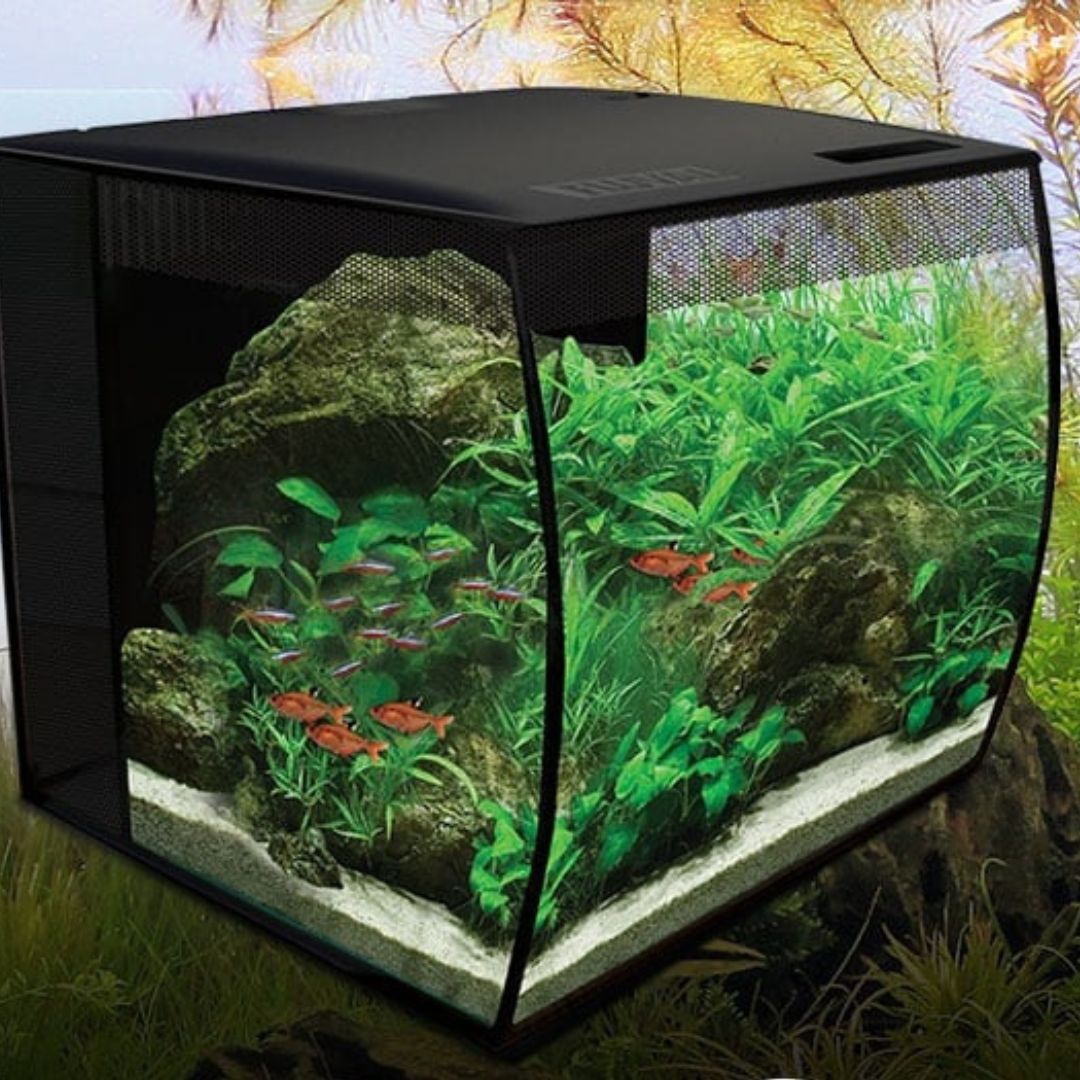 How to set up a Nano Aquarium Fish Tank