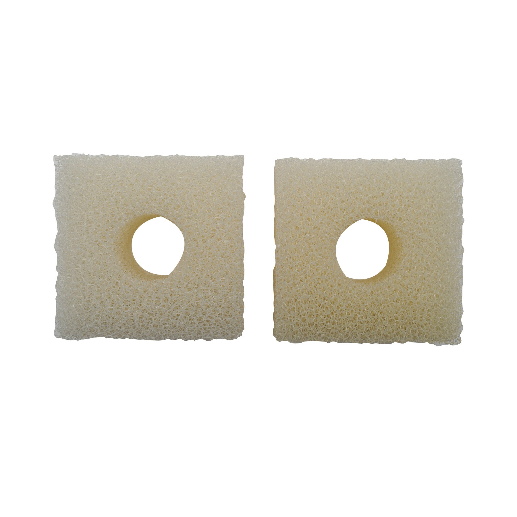 Laguna PowerJet 5000 Strainer Foam (2)