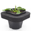 Ornamental Pond Plant Starter 3 pack 12cm Pot and Floating ring