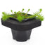 Ornamental Pond Plant Starter 3 pack 12cm Pot and Floating ring