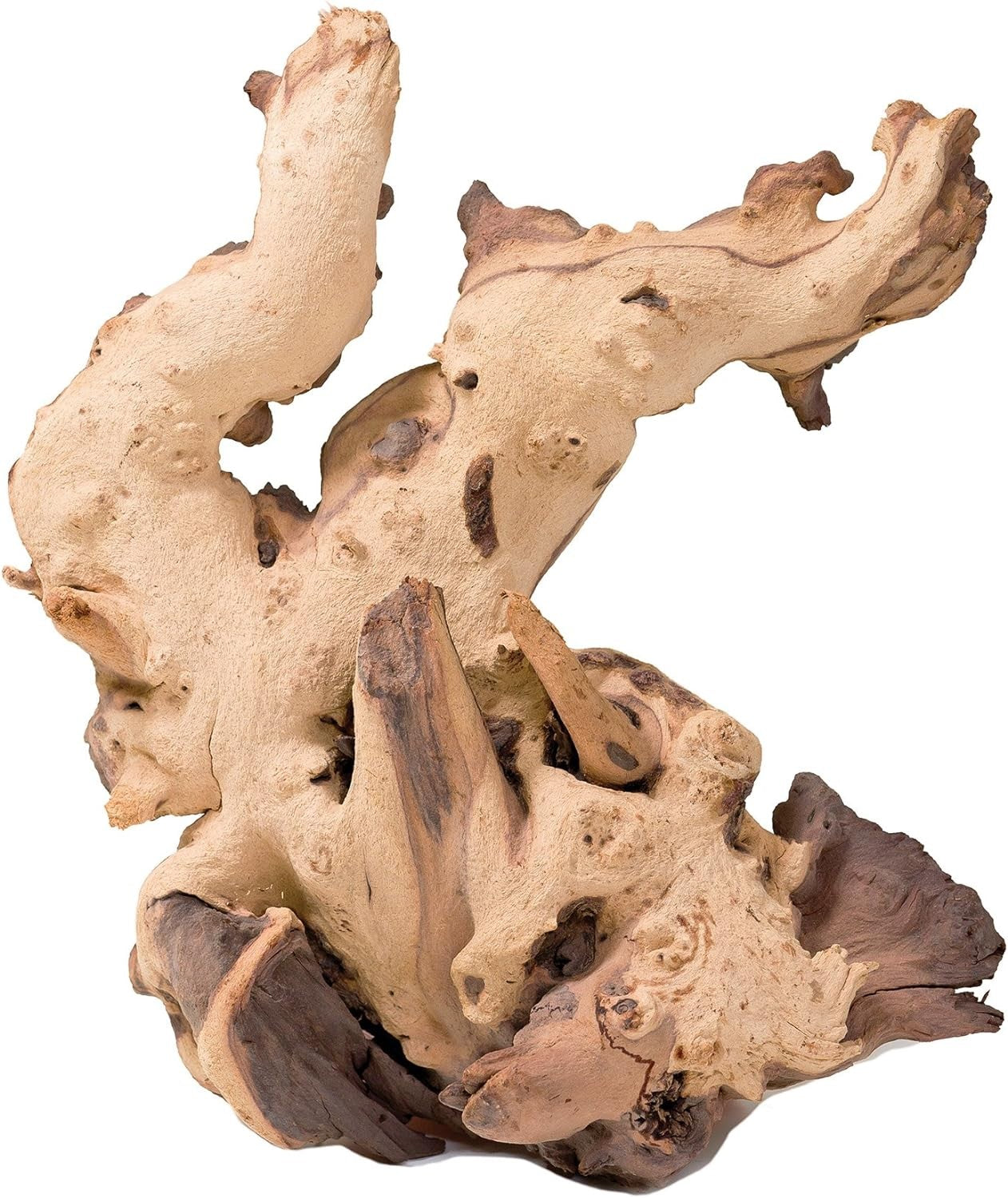 Mopani Driftwood for Aquascaping Aquariums