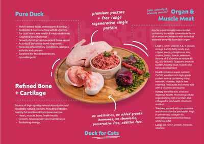 The Right Start Petfood Duck For Cats 500G