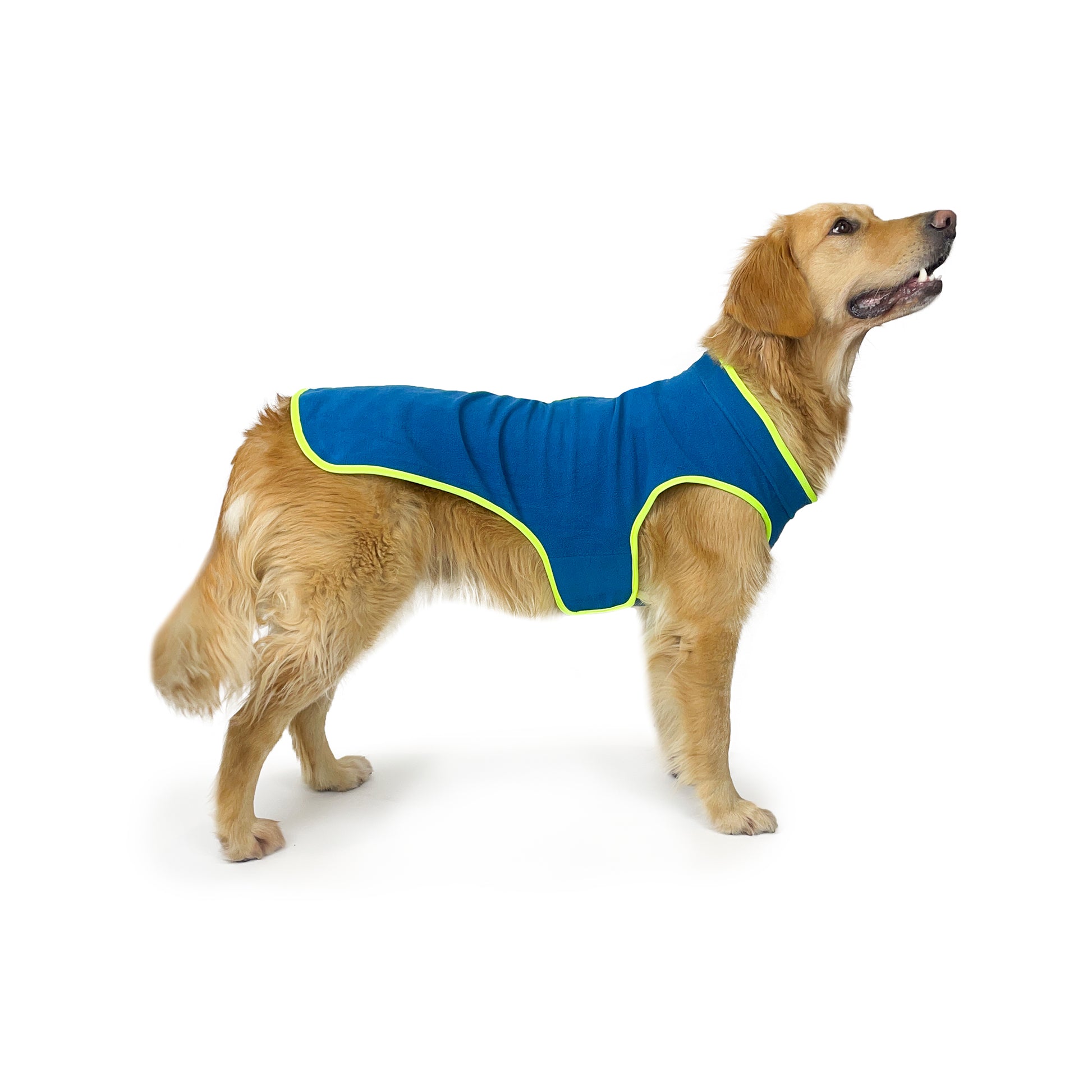 Huskimo Dog Jammie Perisher Duo Tasman Blue [Sz:27cm]