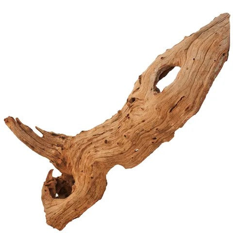 Mekong River Wood Lrg 40-50Cm