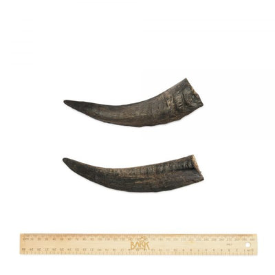 Bark & Beyond Goat Horn