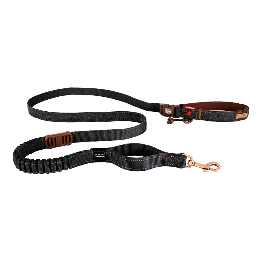 Ezy Dog Leash Road Runner 25