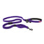 Ezy Dog Leash Road Runner 25