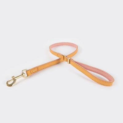 Ezy Dog Leash Oxford 42 Blush