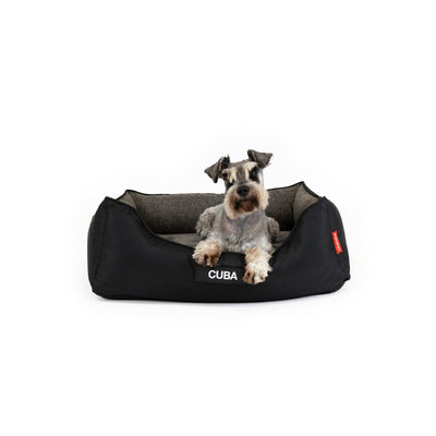 Ezy Dog 2In1 Ortho Smart Bed Medium Charcoal/Black