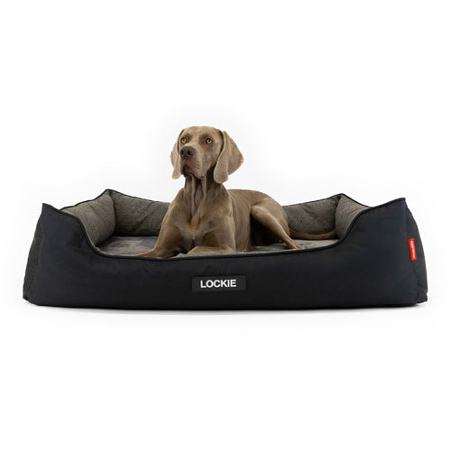 Ezy Dog 2In1 Ortho Smart Bed Xl Charcoal/Black