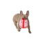 Indie & Scout Plush Gift Toy Red