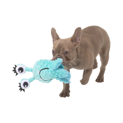 Indie & Scout Plush Eyeball Monster Toy Aqua