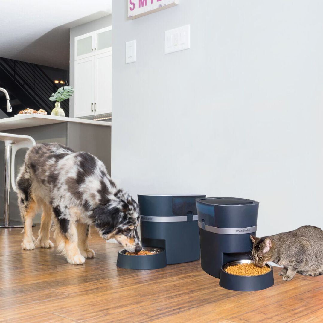 PetSafe Smart Feed Automatic Pet Feeder