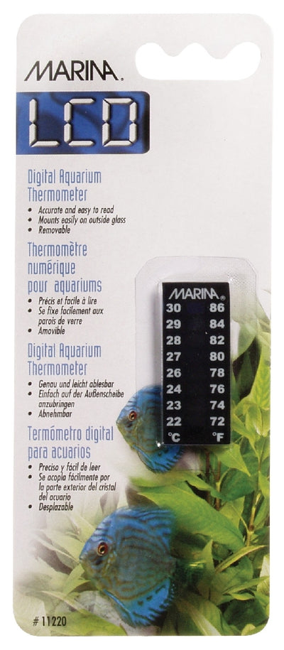 Marina stick on digital thermometer mini