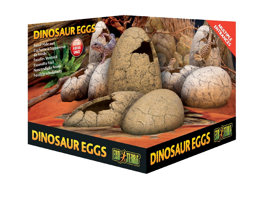 Exo Terra Dinosaur Eggs Hide Out