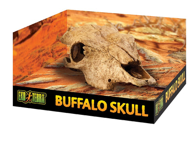 Exo Terra Buffalo Skull