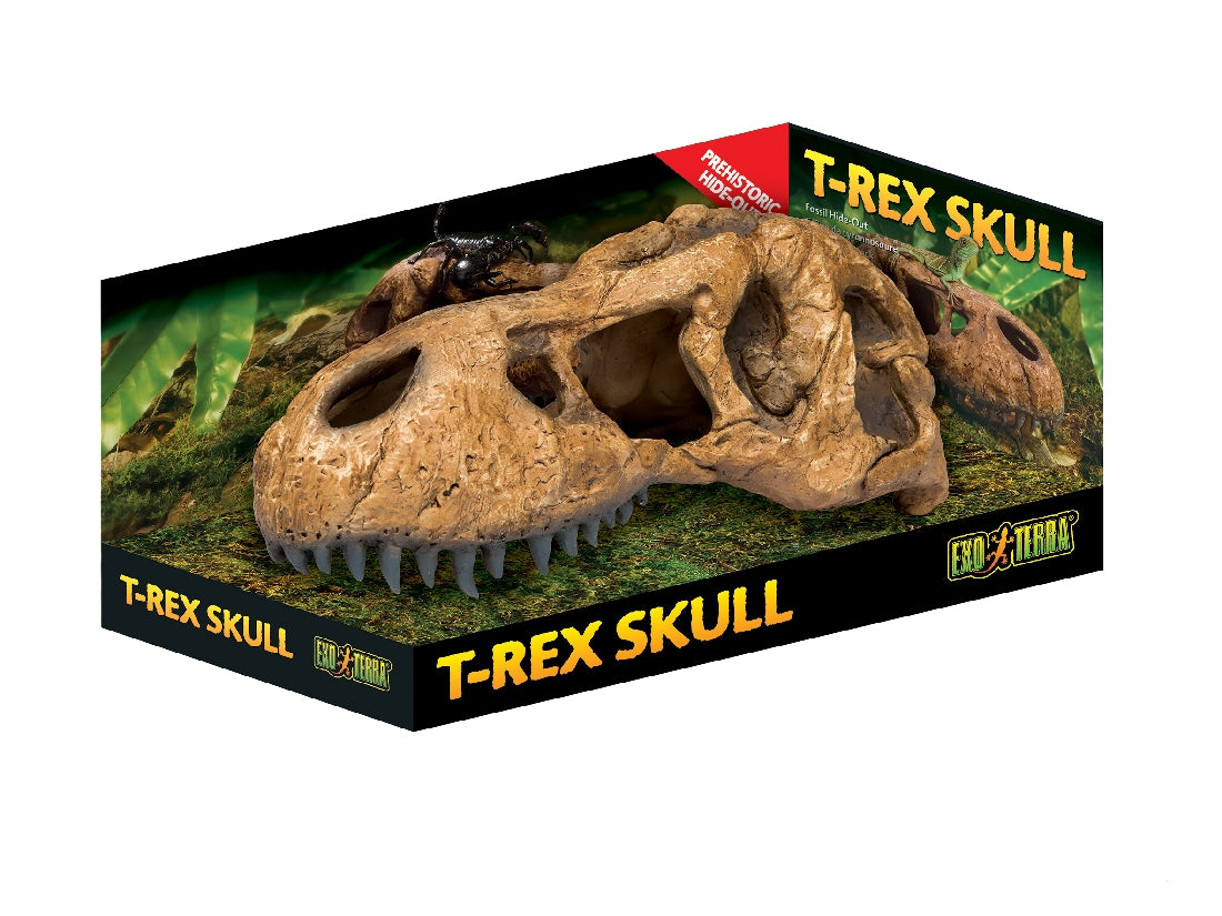 Exo Terra T Rex Skull