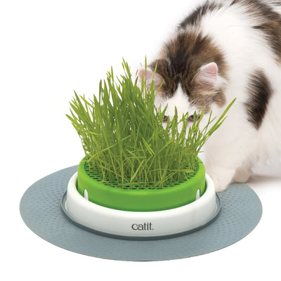 Catit 2.0 - Senses Grass Planter