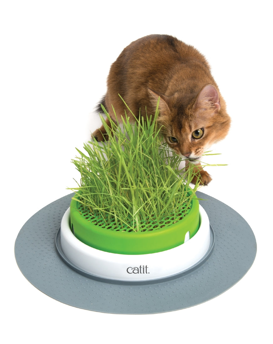 Catit 2.0 - Senses Grass Planter