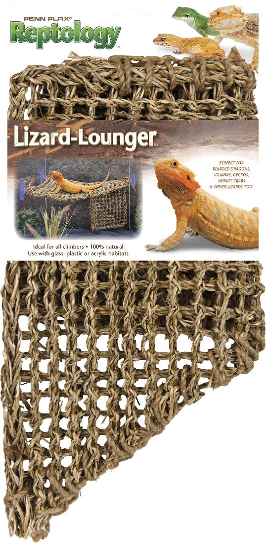 Lizard Lounger Corner