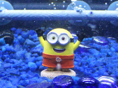 Minions Bob Beach Buddy Mini