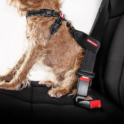 Ezy Dog Car Seat Attachment