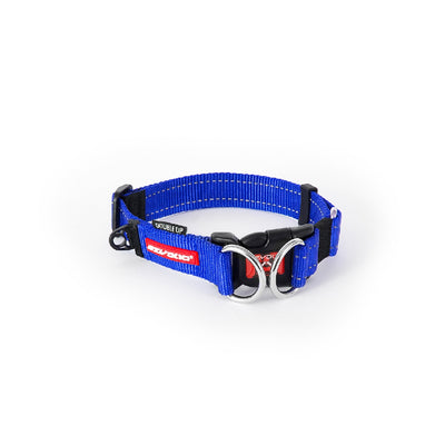 Ezy Dog Double Up Collar Blue