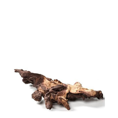 Mopani Driftwood Small