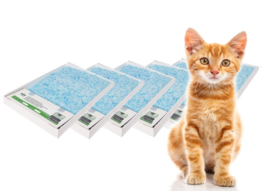 Buy ScoopFree Litter Trays in Bulk  6 packs Australia