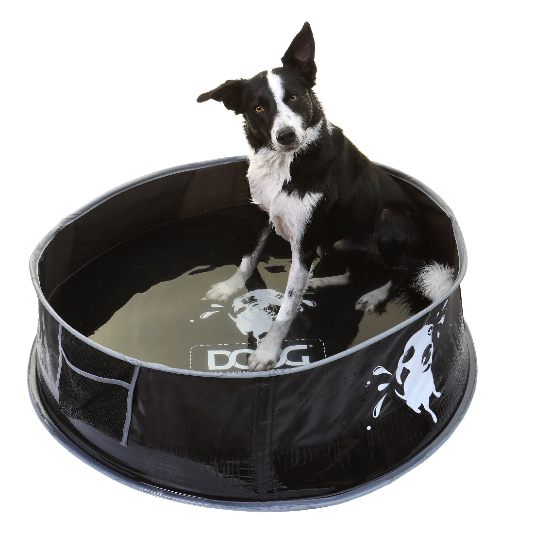 Doog Pet Pop Up Pool - Medium