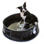 Doog Pet Pop Up Pool - Medium