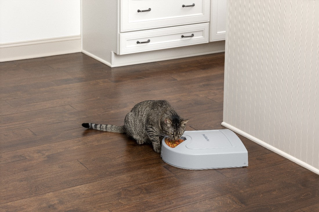 Petsafe 5 Meal Feeder