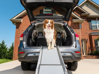 Petsafe Happy Ride Telescoping Dog Ramp