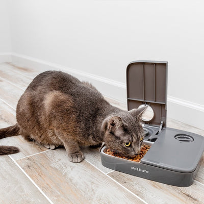 PetSafe Automatic 2 Meal Pet Feeder