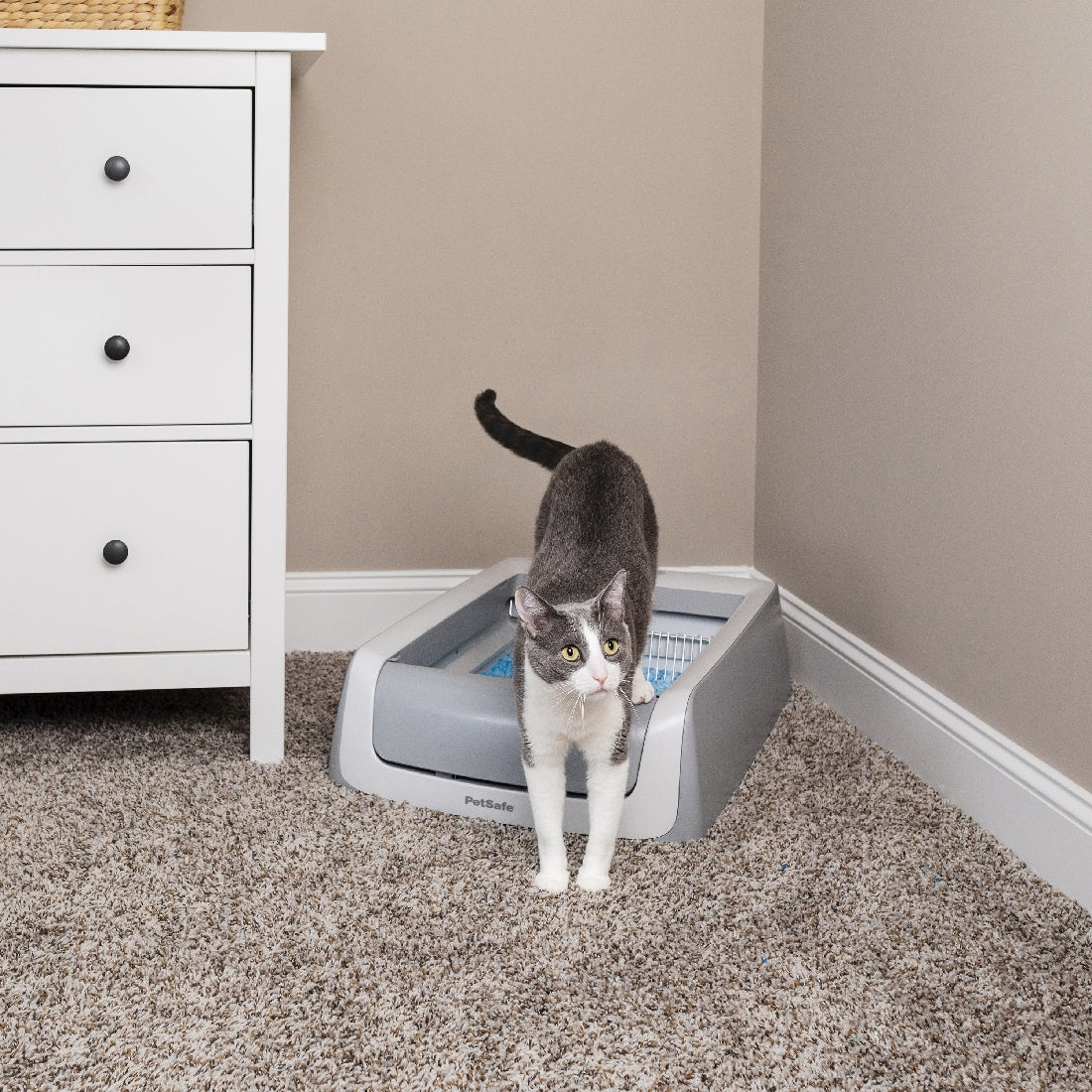 ScoopFree Litter Tray 2nd Generation