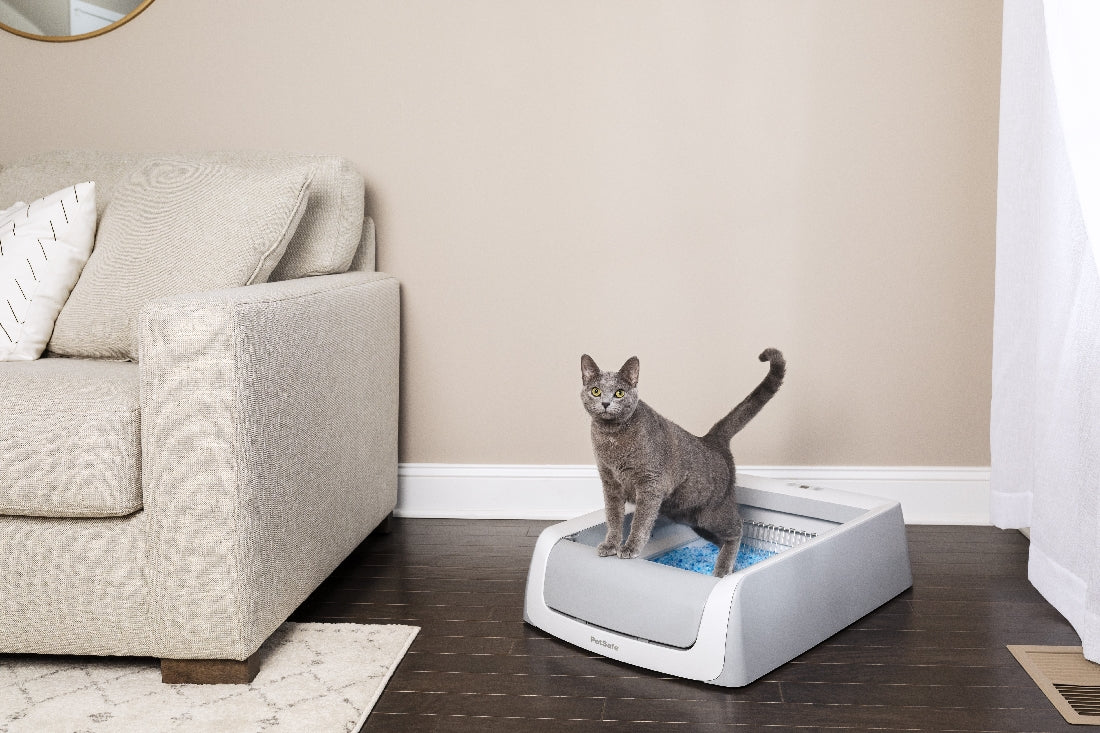 ScoopFree Litter Tray 2nd Generation