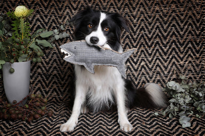 Outback Tails Shazza The Shark Jute Chew Toy