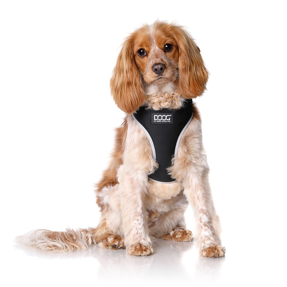 DOOG Neoflex Dog Harness Lassie