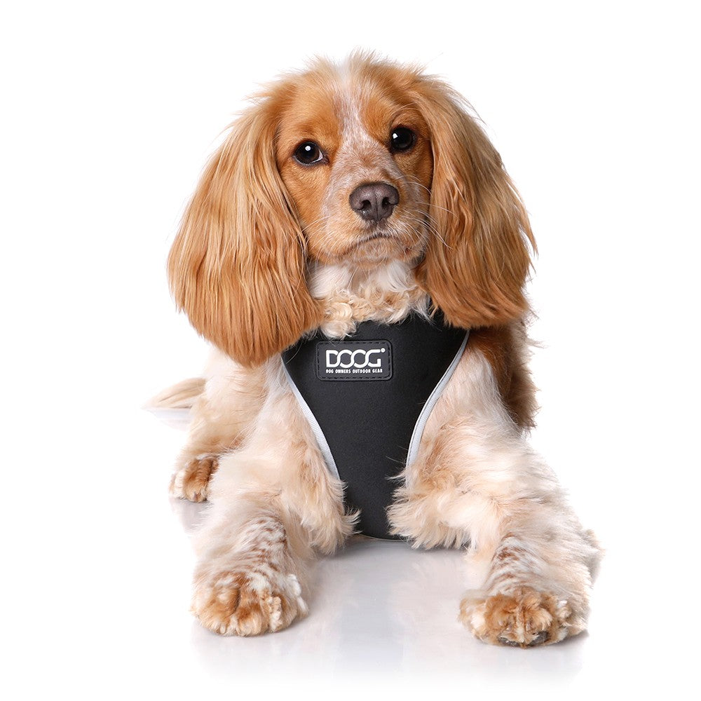 DOOG Neoflex Dog Harness Lassie