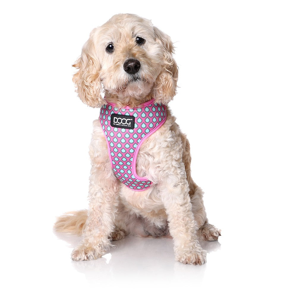 DOOG Neoflex Dog Harness Luna