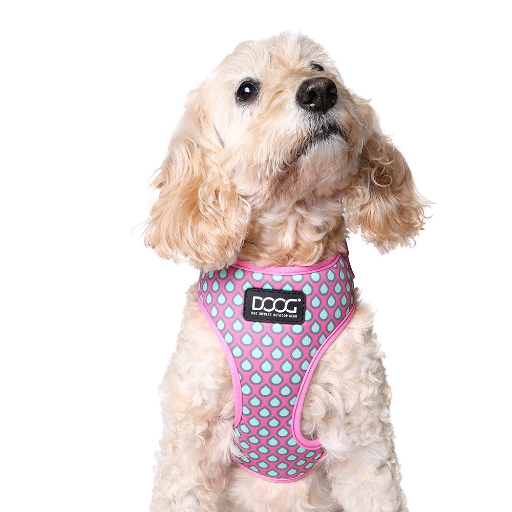 DOOG Neoflex Dog Harness Luna