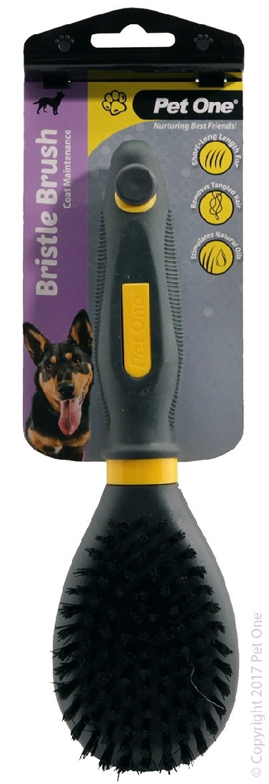 Pet One Grooming Bristle Brush Lg