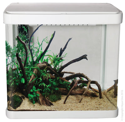 Aqua One Lifestyle 21Ltr White Aquarium