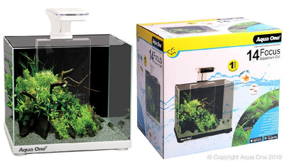 Aqua One Focus 14 Glass Aquarium 14L White 30cm L X 22cm D X 27cm