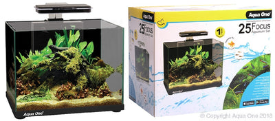 Aqua One Focus 25 Glass Aquarium 25L 40cm L X 25cm D X 31cm ( Black)