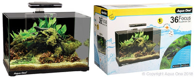 Aqua One Focus 36 Glass Aquarium 36L 50cm L X 25cm D X 34cm Black